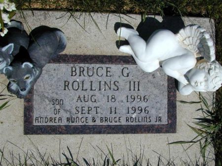 ROLLINS, BRUCE G. III - Hamilton County, Iowa | BRUCE G. III ROLLINS 