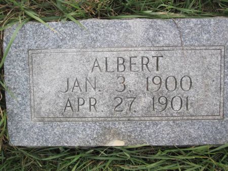 STEVENSON, ALBERT - Hamilton County, Iowa | ALBERT STEVENSON 