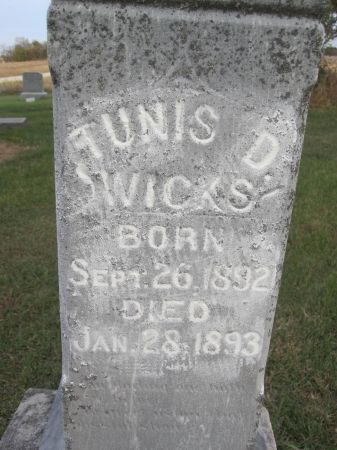 WICKS, TUNIS D. - Hamilton County, Iowa | TUNIS D. WICKS 