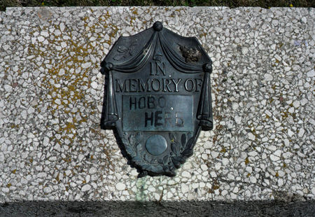 SCHABER, HERB - Hancock County, Iowa | HERB SCHABER 