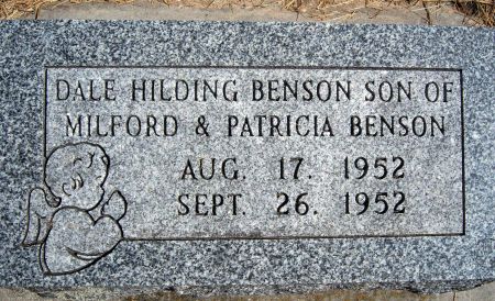 BENSON, DALE H - Hancock County, Iowa | DALE H BENSON 