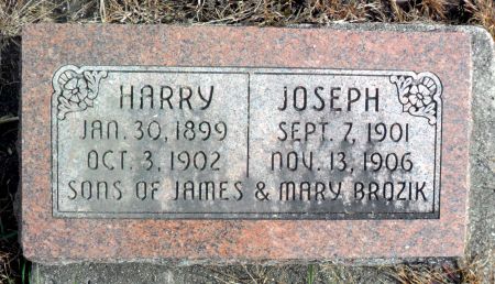 BROZIK, HARRY - Hancock County, Iowa | HARRY BROZIK 