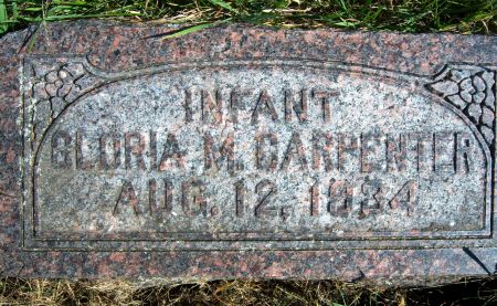 CARPENTER, GLORIA M - Hancock County, Iowa | GLORIA M CARPENTER 