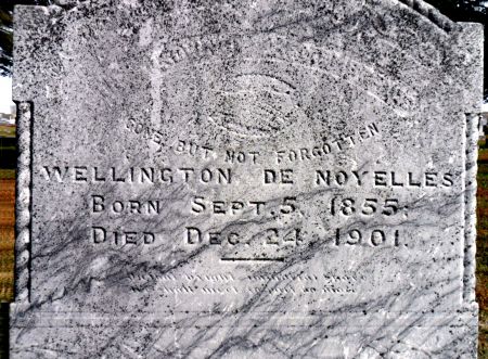 DENOYELLES, WELLINGTON - Hancock County, Iowa | WELLINGTON DENOYELLES 