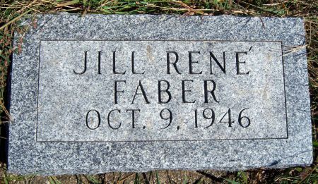 FABER, JILL R - Hancock County, Iowa | JILL R FABER 