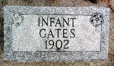 GATES, INFANT - Hancock County, Iowa | INFANT GATES 