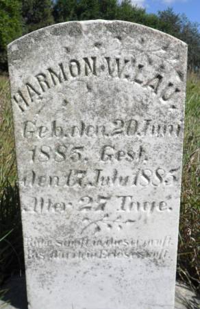 LAU, HARMON W - Hancock County, Iowa | HARMON W LAU 