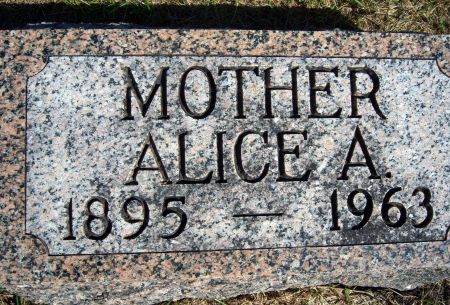 ELLINGSTON LIEN, ALICE A - Hancock County, Iowa | ALICE A ELLINGSTON LIEN 