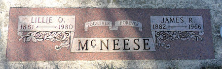 MCNEESE, JAMES R - Hancock County, Iowa | JAMES R MCNEESE 