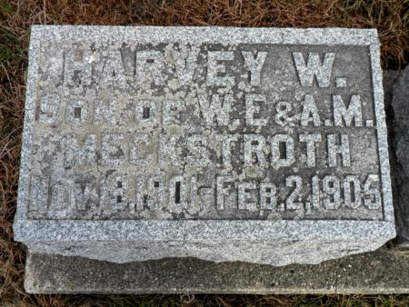 MECKSTROTH, HARVEY W - Hancock County, Iowa | HARVEY W MECKSTROTH 