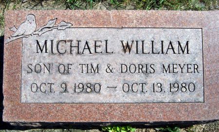 MEYER, MICHAEL W - Hancock County, Iowa | MICHAEL W MEYER 