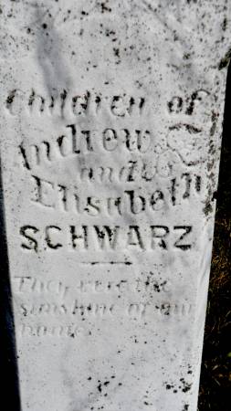 SCHWARZ, CHILDREN - Hancock County, Iowa | CHILDREN SCHWARZ 