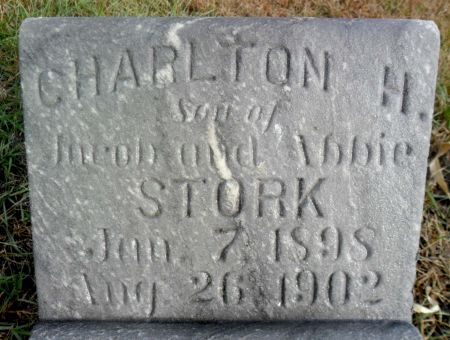 STORK, CHARLTON H - Hancock County, Iowa | CHARLTON H STORK 