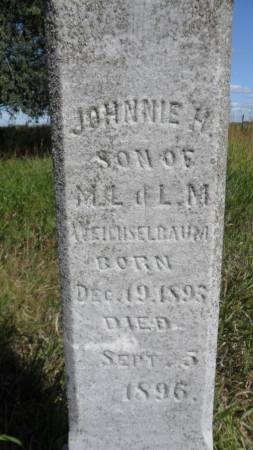 WEICHSELBAUM, JOHNNIE H - Hancock County, Iowa | JOHNNIE H WEICHSELBAUM 