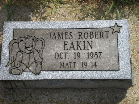 EAKIN, JAMES - Hardin County, Iowa | JAMES EAKIN 