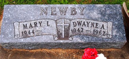 NEWBY, DWAYNE - Hardin County, Iowa | DWAYNE NEWBY 