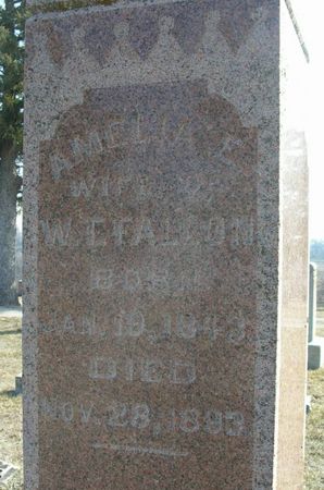 PARCH FALLON, AMELIA EUPHEMIA - Harrison County, Iowa | AMELIA EUPHEMIA PARCH FALLON 