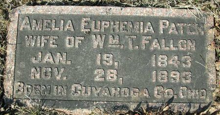 FALLON, AMELIA EUPHEMIA - Harrison County, Iowa | AMELIA EUPHEMIA FALLON 
