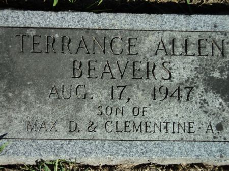 BEAVERS, TERRANCE ALLEN - Henry County, Iowa | TERRANCE ALLEN BEAVERS 
