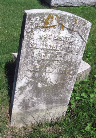 LEISENRING, JAMES B - Henry County, Iowa | JAMES B LEISENRING 