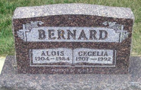 SKODA BERNARD, CECELIA - Howard County, Iowa | CECELIA SKODA BERNARD 