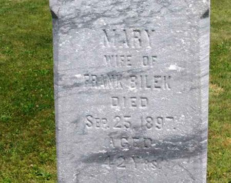 BILEK, MARY - Howard County, Iowa | MARY BILEK 