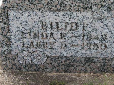 BILIDT, LARRY D. - Howard County, Iowa | LARRY D. BILIDT 
