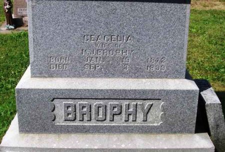 BROPHY, CEACELIA - Howard County, Iowa | CEACELIA BROPHY 