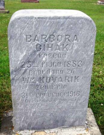 CIHAK KOVARIK, BARBORA - Howard County, Iowa | BARBORA CIHAK KOVARIK 
