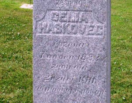 HASKOVEC, CELIA - Howard County, Iowa | CELIA HASKOVEC 