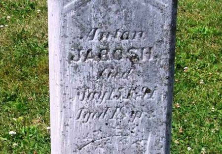 JAROSH, ANTON - Howard County, Iowa | ANTON JAROSH 