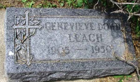 DOWD LEACH, GENEVIEVE - Howard County, Iowa | GENEVIEVE DOWD LEACH 