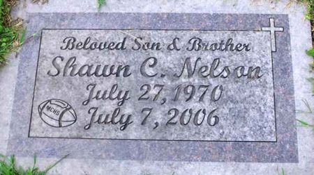 NELSON, SHAWN C. - Howard County, Iowa | SHAWN C. NELSON 