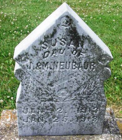 NEUBAUR, SUSAN - Howard County, Iowa | SUSAN NEUBAUR 