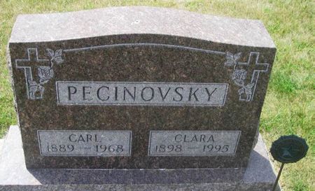 MARTINEK PECINOVSKY, CLARA - Howard County, Iowa | CLARA MARTINEK PECINOVSKY 