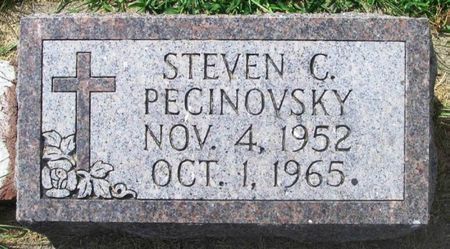 PECINOVSKY, STEVEN C. - Howard County, Iowa | STEVEN C. PECINOVSKY 