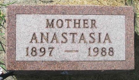 POLASHEK SHIMAK, ANASTASIA - Howard County, Iowa | ANASTASIA POLASHEK SHIMAK 