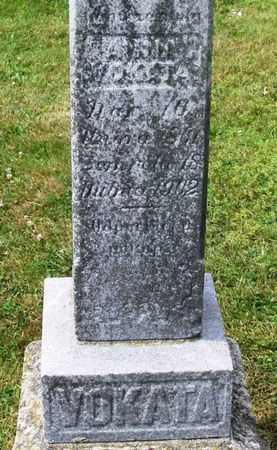 VOKATA, ANN - Howard County, Iowa | ANN VOKATA 