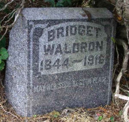 WALDRON, BRIDGET - Howard County, Iowa | BRIDGET WALDRON 