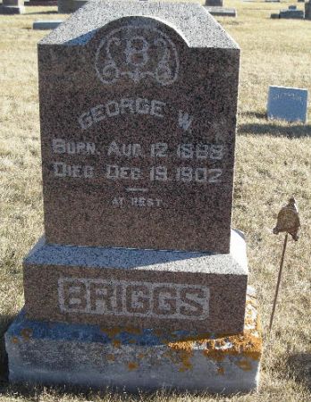 BRIGGS, GEORGE W. - Humboldt County, Iowa | GEORGE W. BRIGGS 