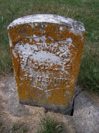 ARMSTEAD, GEORGE - Iowa County, Iowa | GEORGE ARMSTEAD 