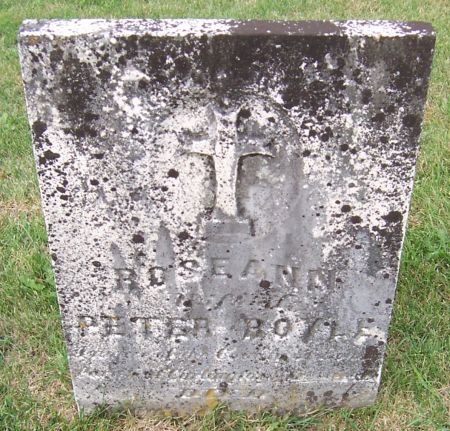 BOYLE, ROSEANN - Iowa County, Iowa | ROSEANN BOYLE 