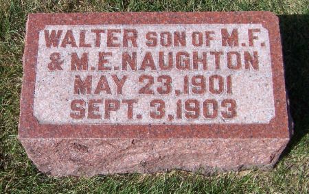 NAUGHTON, WALTER - Iowa County, Iowa | WALTER NAUGHTON 