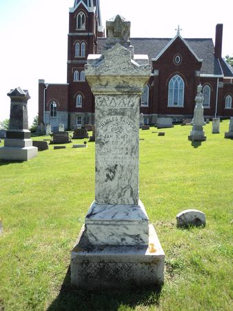 BAUSCH, CHARLES - Jackson County, Iowa | CHARLES BAUSCH 