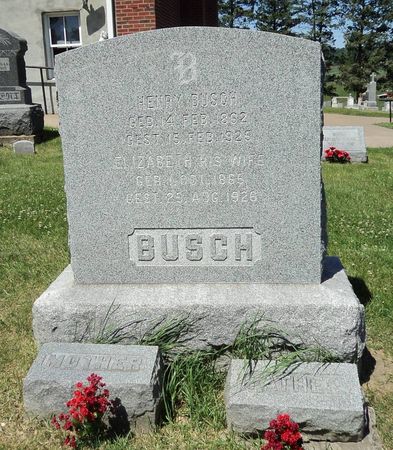 BUSCH, HENRY - Jackson County, Iowa | HENRY BUSCH 