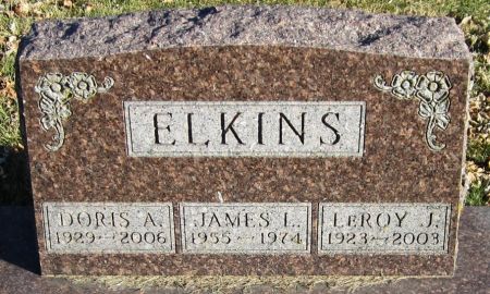 ELKINS, DORIS A. - Jackson County, Iowa | DORIS A. ELKINS 