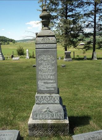 FELDERMANN, PAULINA W. L. - Jackson County, Iowa | PAULINA W. L. FELDERMANN 