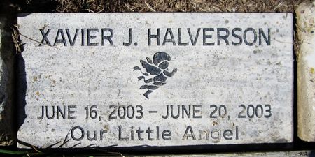 HALVERSON, XAVIER J. - Jackson County, Iowa | XAVIER J. HALVERSON 