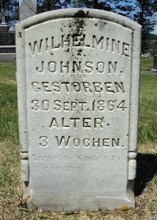 JOHNSON, WILHELMINE - Jackson County, Iowa | WILHELMINE JOHNSON 