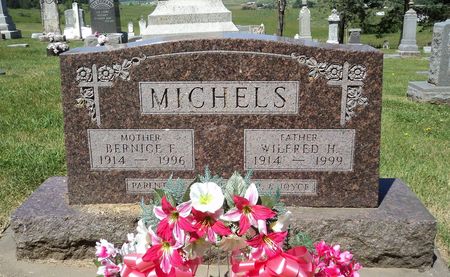 MICHELS, WILFRED H. - Jackson County, Iowa | WILFRED H. MICHELS 